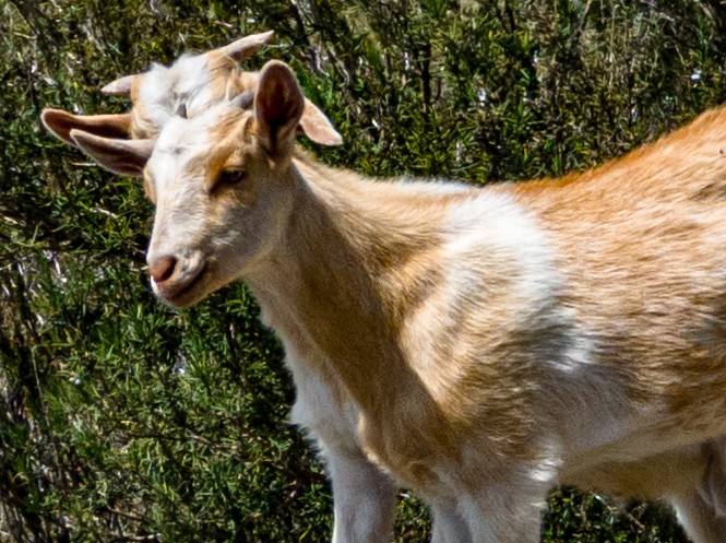 Local hiking Marxuquera